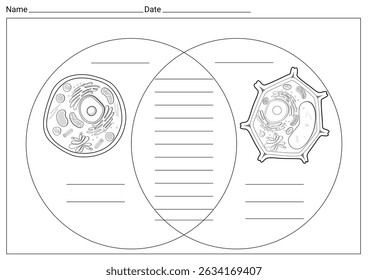 Comparison between structure of Animal cell with Plant cell worksheet for class	