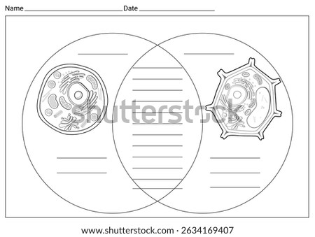 Comparison between structure of Animal cell with Plant cell worksheet for class	