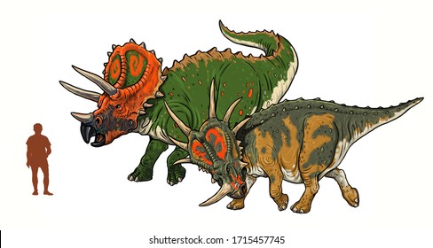 A Comparison Of Dinosaur Size In Relation To Humans. Triceratops And Styracosaurus.