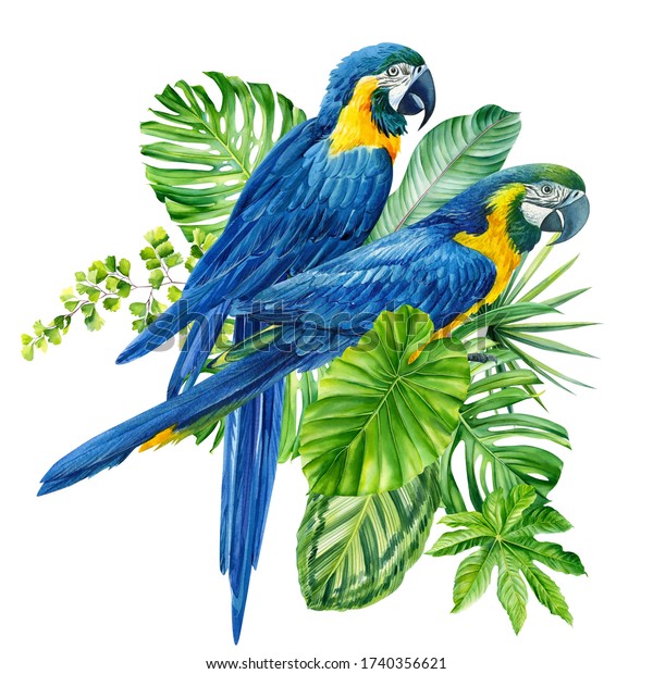 Tropical Birds Watercolor