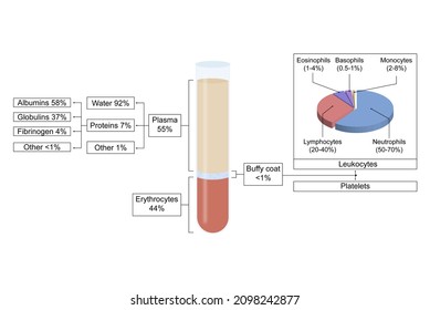 Composition Of The Blood, Hematocrit