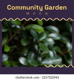 Composition of community garden week text and copy space on plants background. Community garden week, gardening and sustainability concept digitally generated image. - Powered by Shutterstock