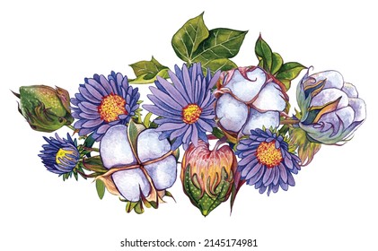 Composition cotton   aster flowers  Watercolor illustration paper 