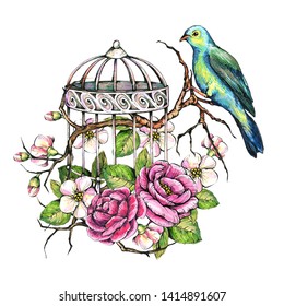 Composition with flowers, twigs, cage and bird. Graphics and watercolor hand drawing.