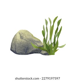 Composition and large sea stone   algae  Watercolor illustration marine fauna  Gray rock in the ocean  Cartoon style  Collection Island  The drawing is suitable for design  packaging 