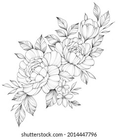 Composition of peonies with leaves. Technique - black and white graphics. Outline drawing, line drawing. Suitable for tattoo sketch.