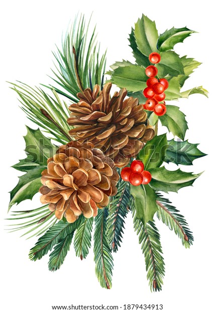 Composition Pine Cones Holly Spruce Branches Stock Illustration 1879434913