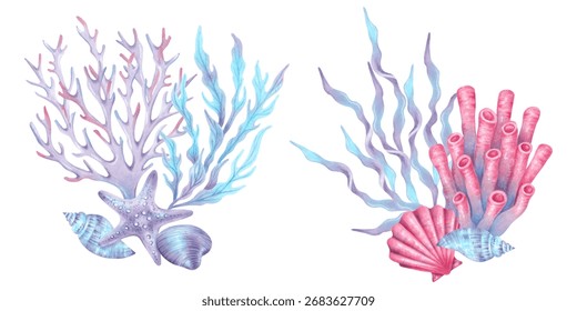 Composition and sea corals