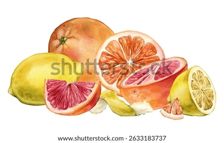 Composition with slice and whole Grapefruit and Lemon, Orange. Hand drawn watercolor illustration of tropical citrus fruits and leaves on white isolated background. Half grapefruit