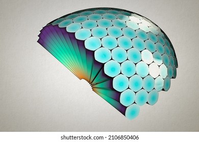 Compound Eye 3D Illustration, Insect Eyes