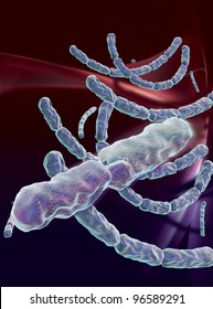 Computer Artwork Of Anthrax Bacteria