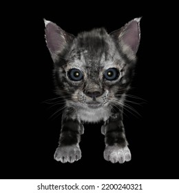 Computer Rendered Illustration Of A Kitten