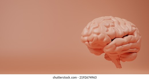 Concept Of Artificial Intelligence. Cute Human Brain With Calming Coral Color Background. 3d Illustration