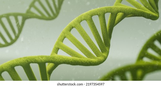 Concept Of Biology Or Ecology With Green DNA Helix Gene Or Genetic Molecule On Blue Background. 3d Illustration