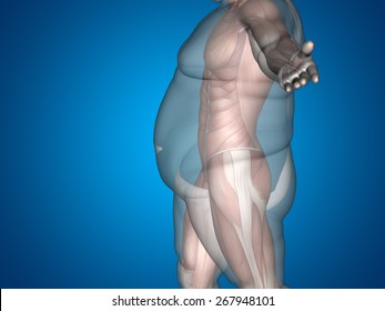 Concept or conceptual 3D fat overweight vs slim fit diet with muscles young man blue gradient background, metaphor weight loss, body, fitness, fatness, obesity, health, healthy, male, dieting, shape