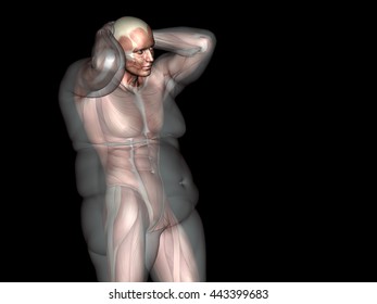 Concept Or Conceptual 3D Fat Overweight Vs Slim Fit Diet With Muscles Young Man Black Gradient Background  Metaphor Weight Loss, Body, Fitness, Obesity, Health, Healthy, Male, Dieting Or Shape