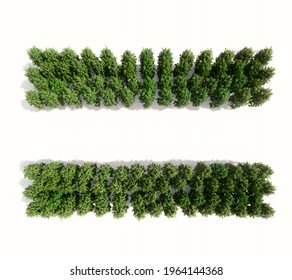 Concept Or Conceptual Group Of Green Forest Tree Isolated On White Background, Equal Sign. 3d Illustration Metaphor  For Nature, Conservation, Global Warming, Environment, Ecology, Climate