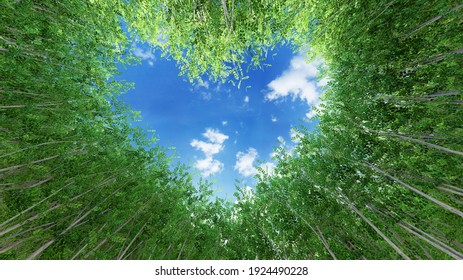 Concept or conceptual heart shape symbol made of forest tree branches over a blue sky background as romantic frame. A metaphor to love, Valentine Day celebration, environment ecology 3D illustration - Shutterstock ID 1924490228