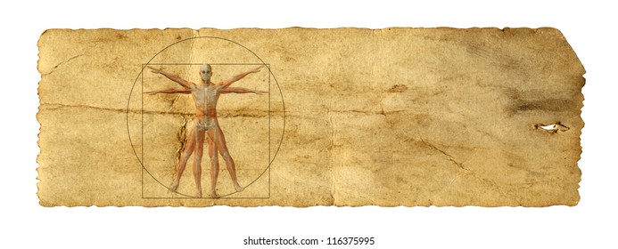 Concept or conceptual vitruvian human body drawing on old paper or book background as metaphor to anatomy,biology,Leonardo,classic,anatomical,circle,symbol ,revival,proportion , skeleton or manuscript