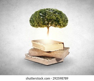 Concept Of Education And Knowledge With Tree Growing From Book