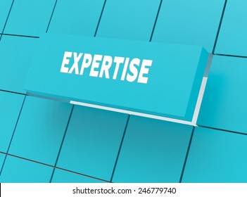 Concept EXPERTISE