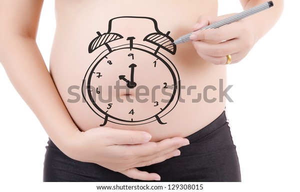 白い背景に妊娠腹と絵の時計のコンセプト画像 のイラスト素材