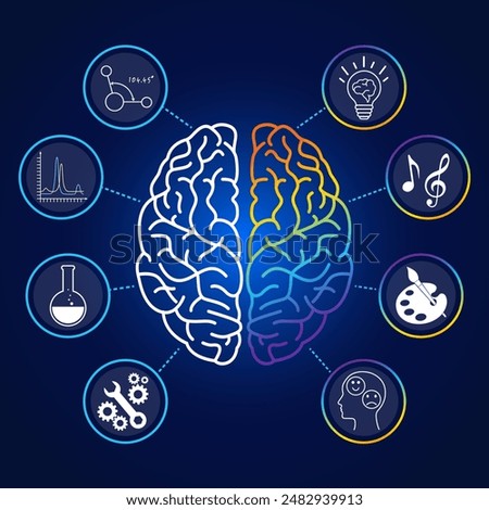 The concept of left and right human brain Infographic design consisting of icons of creativity using the right brain. And analytical thinkers have left-brained ideas. knowledge vector illustration