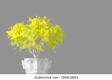 The Concept Of Self-knowledge And Personal Growth. The White Head Of A Woman In The Form Of A Flower Pot From Which A Tree Grows. 3d Illustration