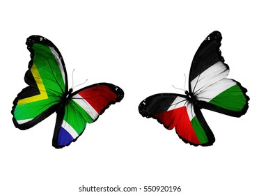 Palestine Flag Butterfly Isolated On White Stock Illustration 1252058251