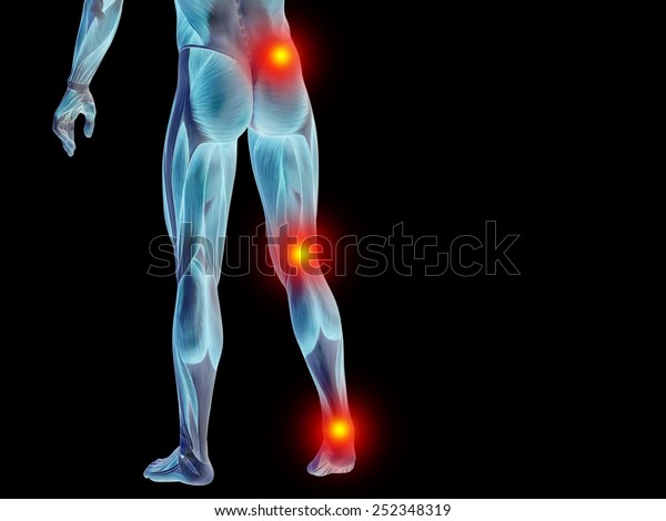 visual 3d lower body visual 3d lower body