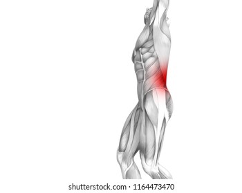 Conceptual Back Human Anatomy Red Hot Stock Illustration 1227062611