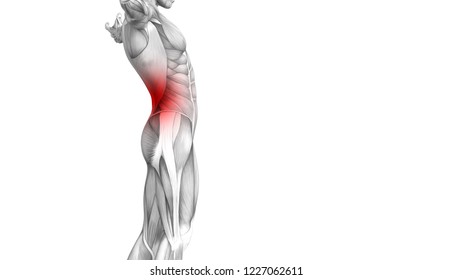 Conceptual Back Human Anatomy Red Hot Stock Illustration 1227062611