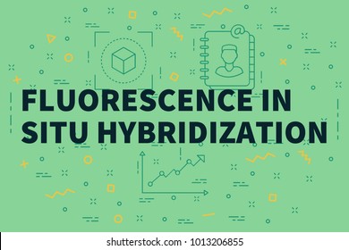 Conceptual Business Illustration With The Words Fluorescence In Situ Hybridization