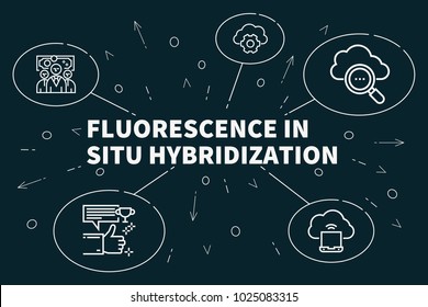 Conceptual Business Illustration With The Words Fluorescence In Situ Hybridization