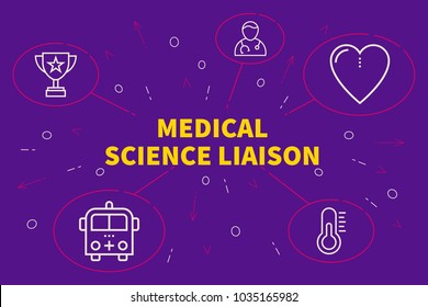 Conceptual Business Illustration With The Words Medical Science Liaison