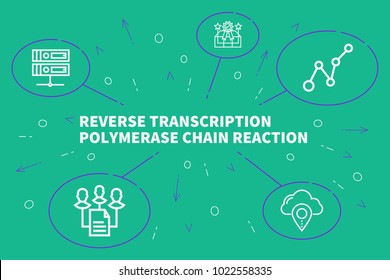 Conceptual Business Illustration With The Words Reverse Transcription Polymerase Chain Reaction