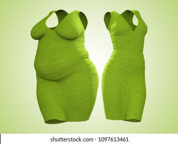 Conceptual fat overweight obese female dress outfit vs slim fit healthy body after weight loss diet thin young woman green  A fitness  nutrition fatness obesity health shape 3D illustration