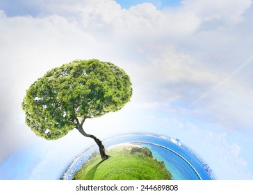 Conceptual image of green tree shaped like brain - Shutterstock ID 244689808