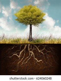 Conceptual Image Representing A Rooted Tree Above Grass With Roots Underground