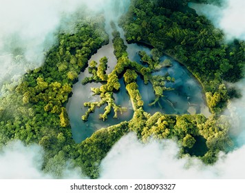 Una imagen conceptual que muestra un lago en forma de pulmón en una selva exuberante y prístina. 3 quinquies de representación.