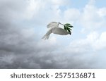 From Conflict To Harmony or hostility to the tranquility as coexistence with a white dove carrying an olive branch resulting in a ceasefire or cease-fire With 3D illustration elements.