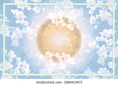 Congratulations greeting card with flowers and sun background