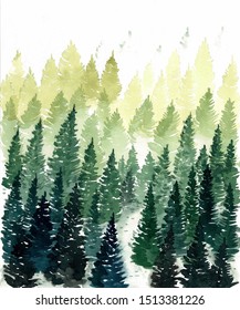 Coniferous Forest Watercolor Painting Coniferous Trees Stock