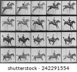 Consecutive images of man riding a horse. From Eadweard Muybridge