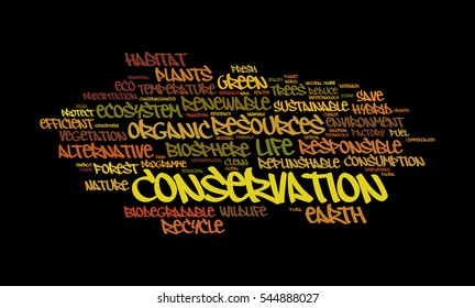 Conservation word cloud