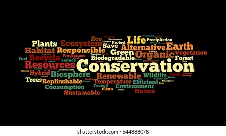 Conservation word cloud