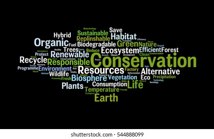 Conservation word cloud