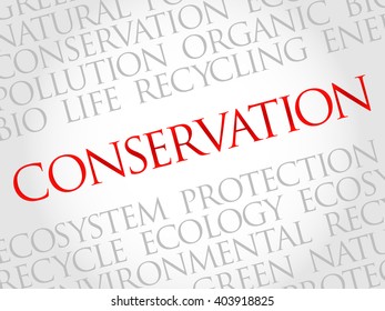 Conservation word cloud, environmental concept