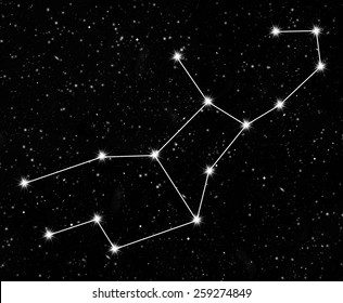 Virgo Constellation Images Stock Photos Vectors Shutterstock