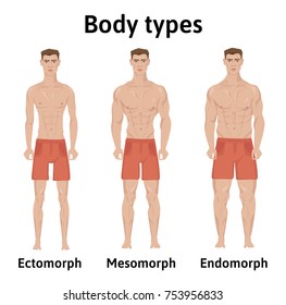 Constitution Human Body Man Body Types Stock Illustration 753956833 ...